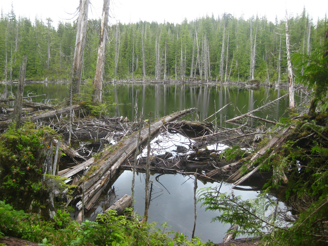 Spirit Lake Trail-Skidegate必去景点