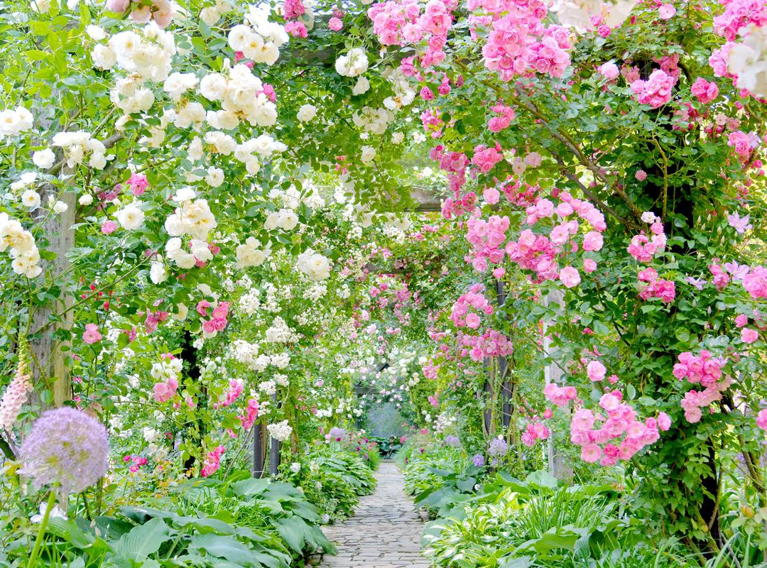 ACAO FOREST-热海市必去景点