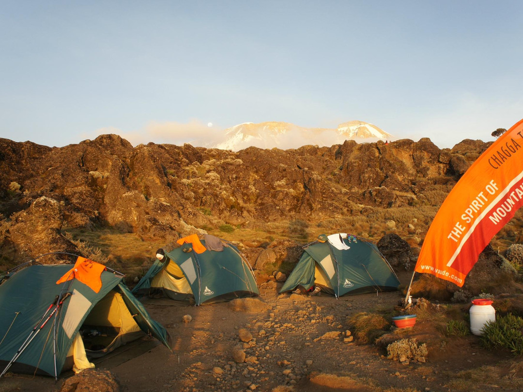 Chagga Tours - Day Tours-莫西必去景点