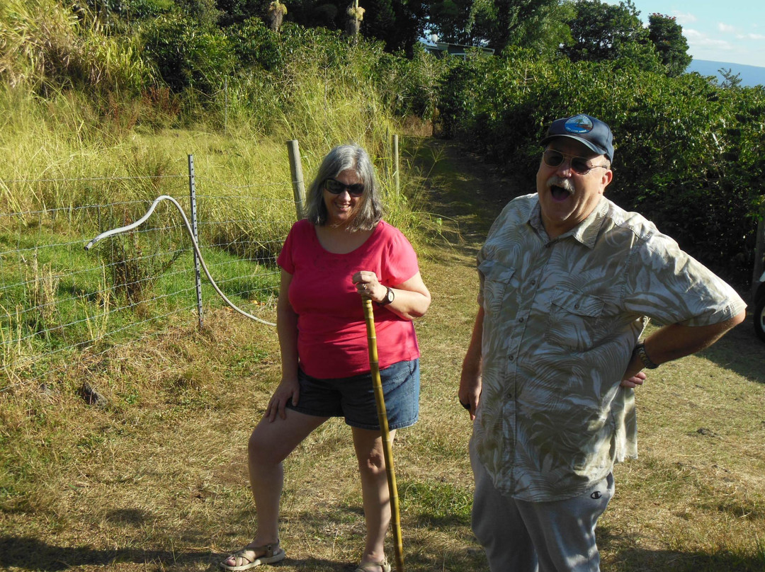 黑奥-凯鲁瓦-柯纳必去景点