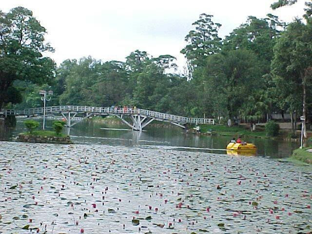 Ward's Lake景点图片