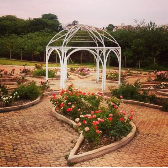 Jardim Botanico Irmaos Vilas Boas-索罗卡巴必去景点