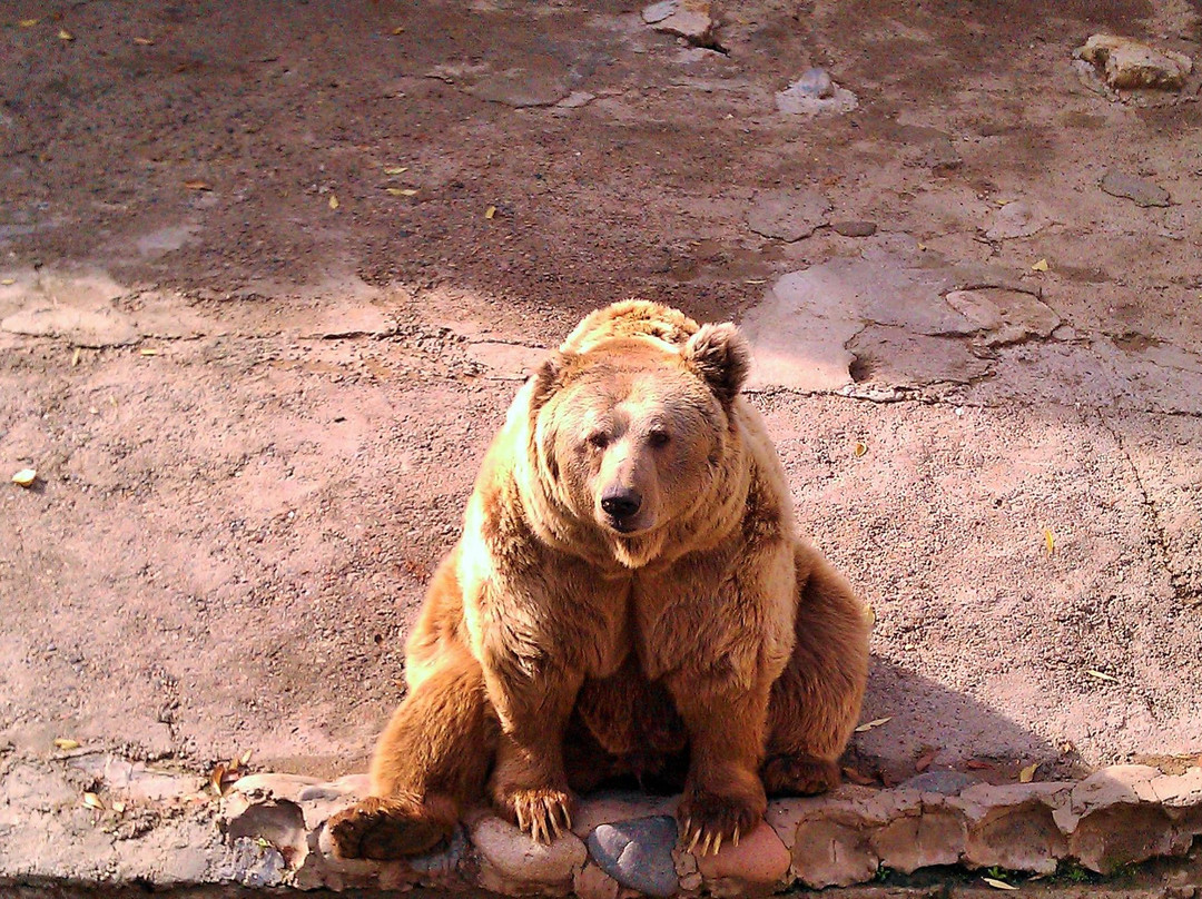 Tashkent Zoo-塔什干必去景点