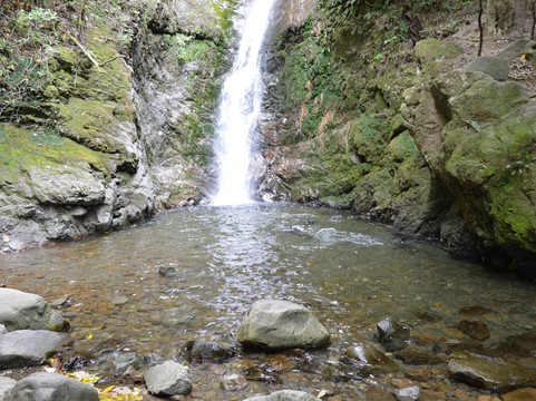 奥豪溪畔漫步之旅-Kaikoura必去景点