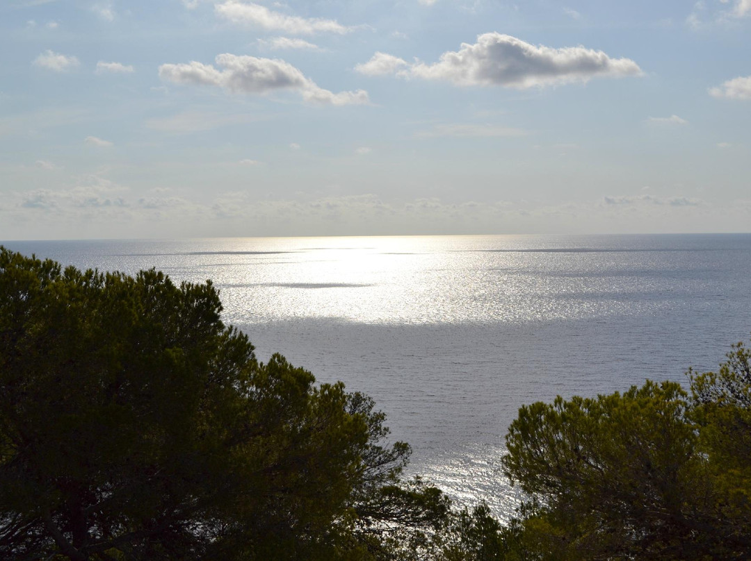 Santa Eulalia Express景点图片