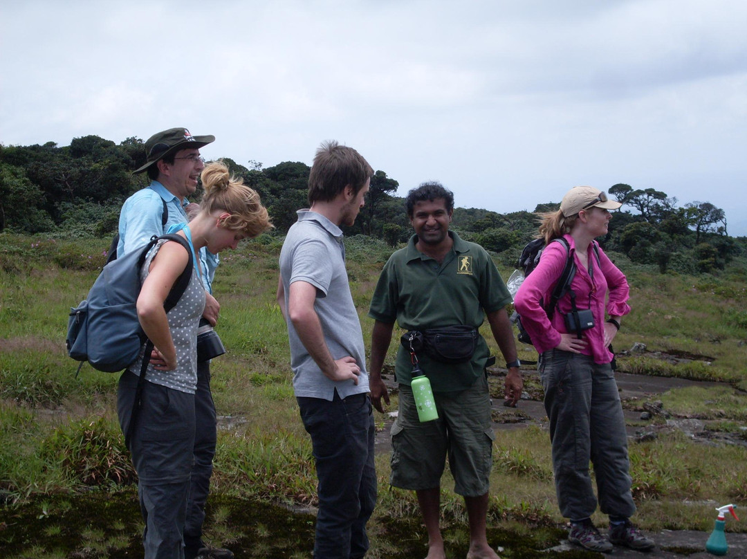 Knuckles Mountain Range-中央省必去景点