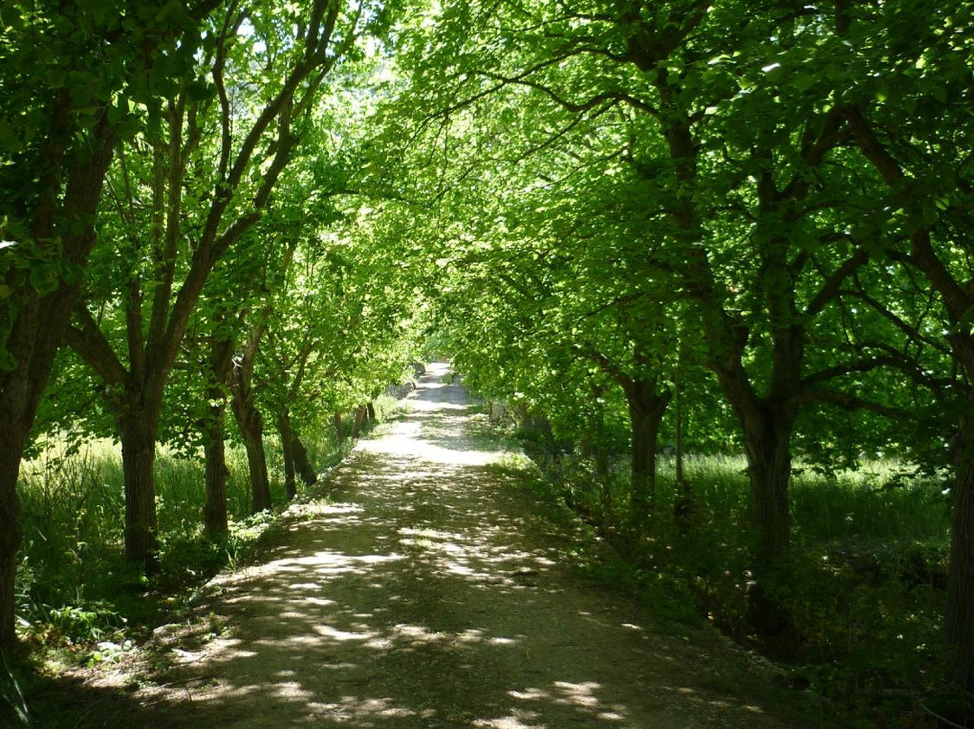 Finca Son Mas-Esporles必去景点