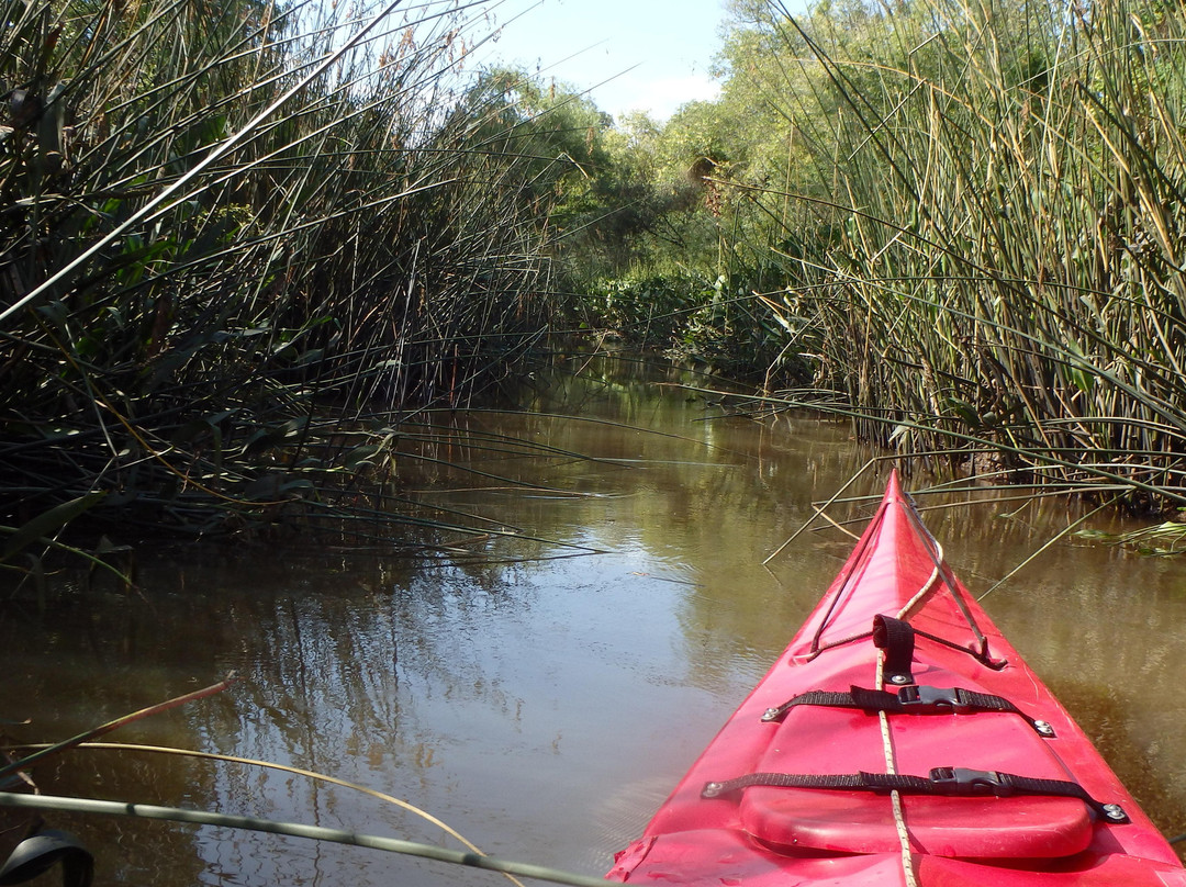 Sudeste Paseos y Travesias-蒂格雷必去景点