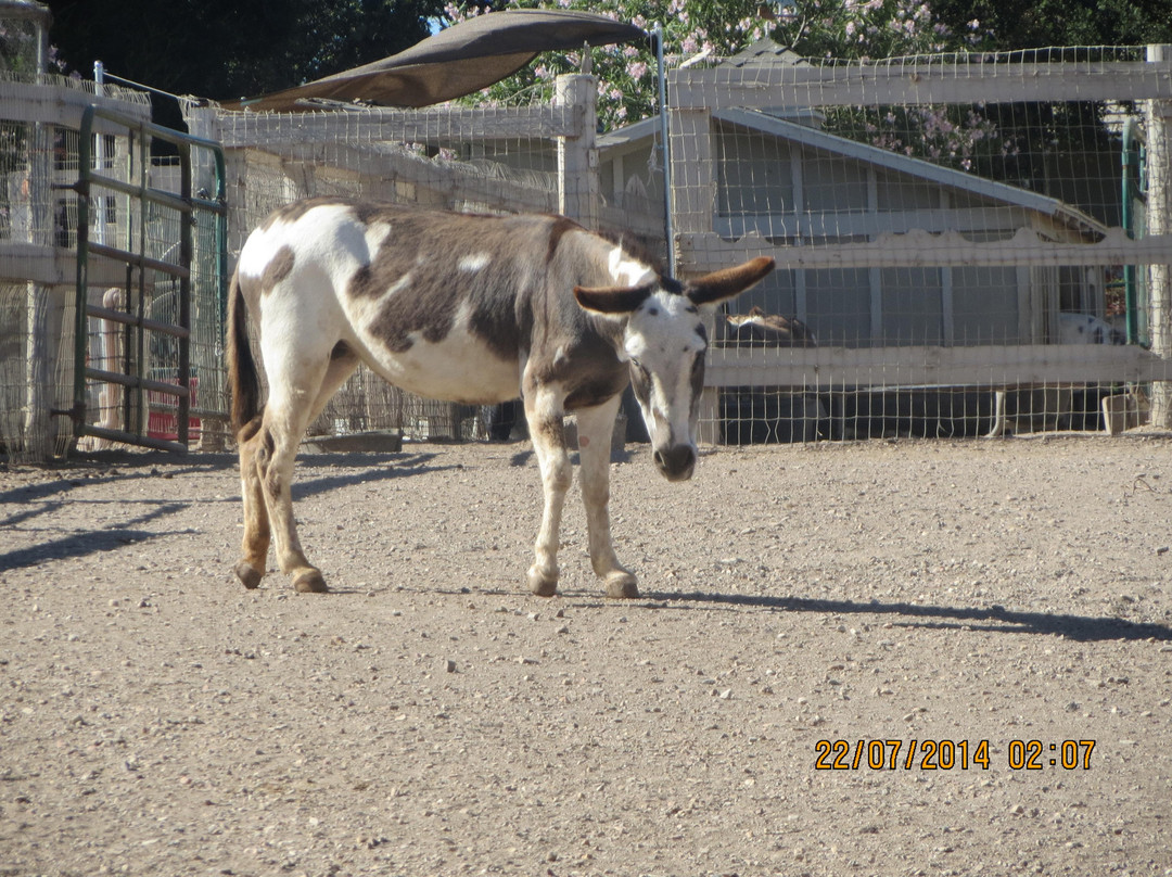 Seein' Spots Farm-索尔万必去景点
