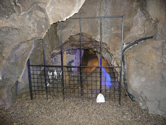 Stump Cross Caverns景点图片