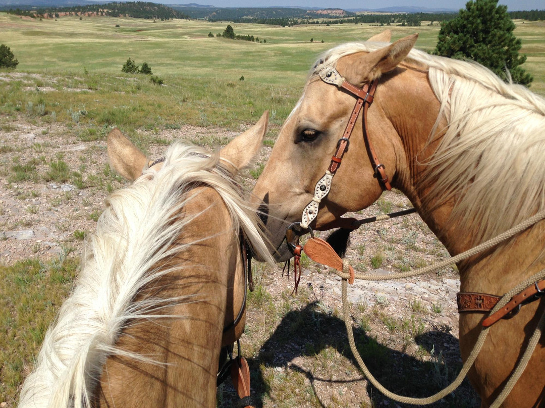 Sage Meadow Ranch-温泉城必去景点