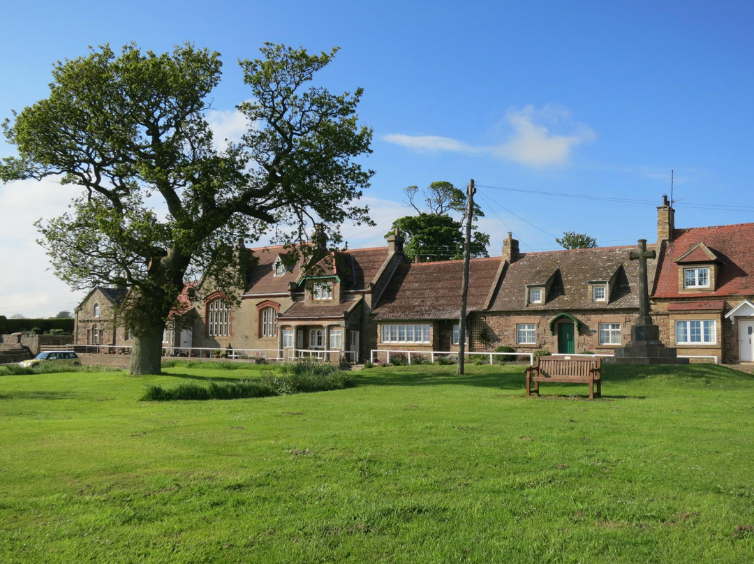 SlowSheep@theLazyFox主图