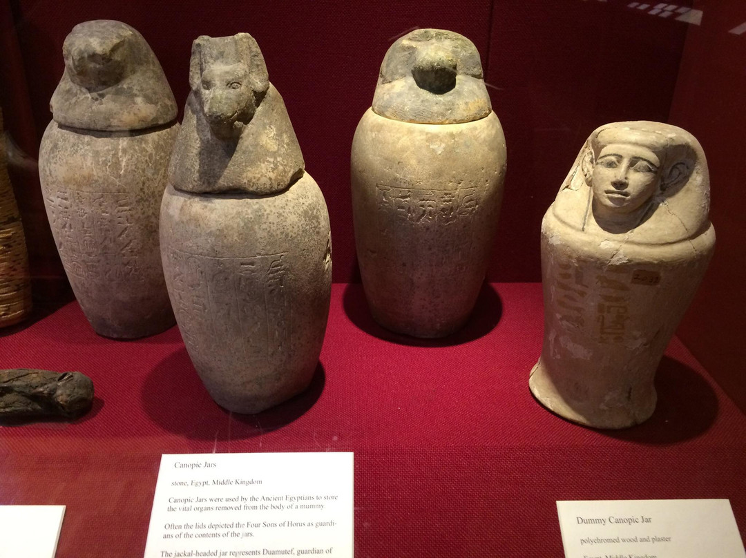 Mabee-Gerrer Museum of Art景点图片