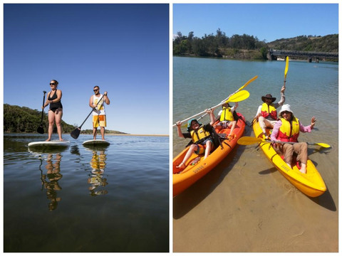 C-Change Adventures-科夫斯港必去景点