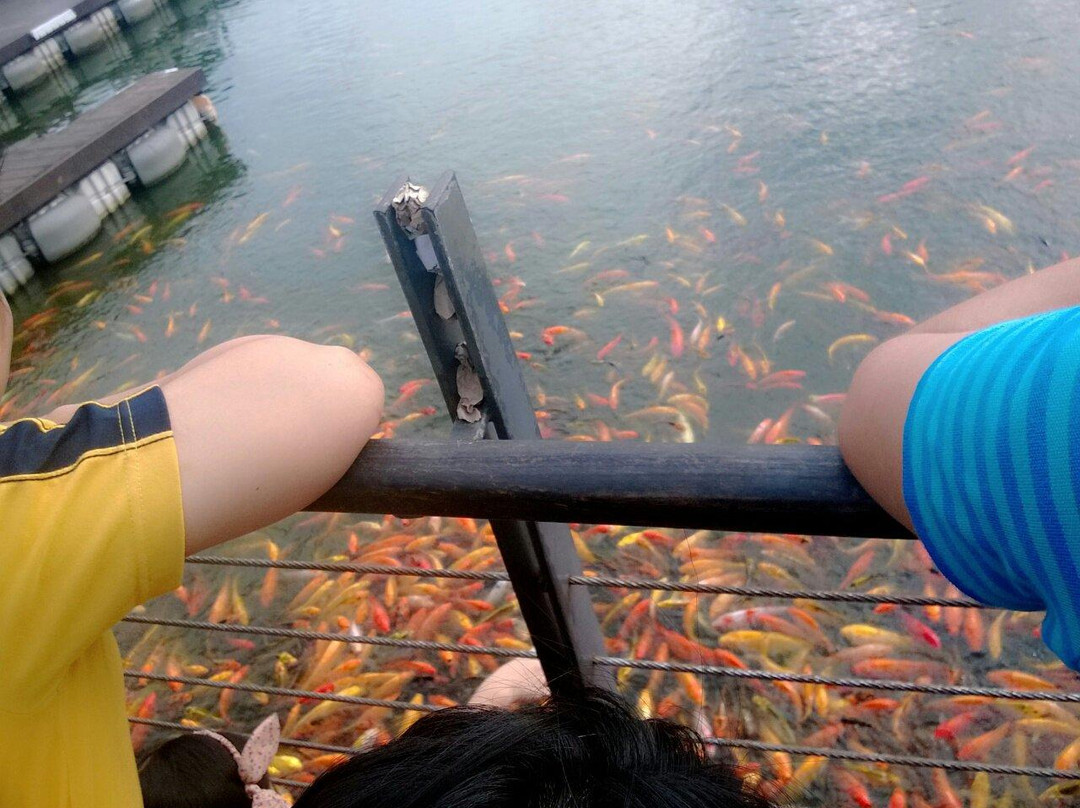 Nuvali-圣罗莎必去景点