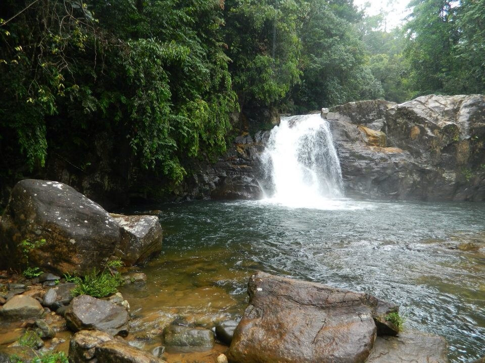 Explore Sinharaja Rain Forest Tours景点图片
