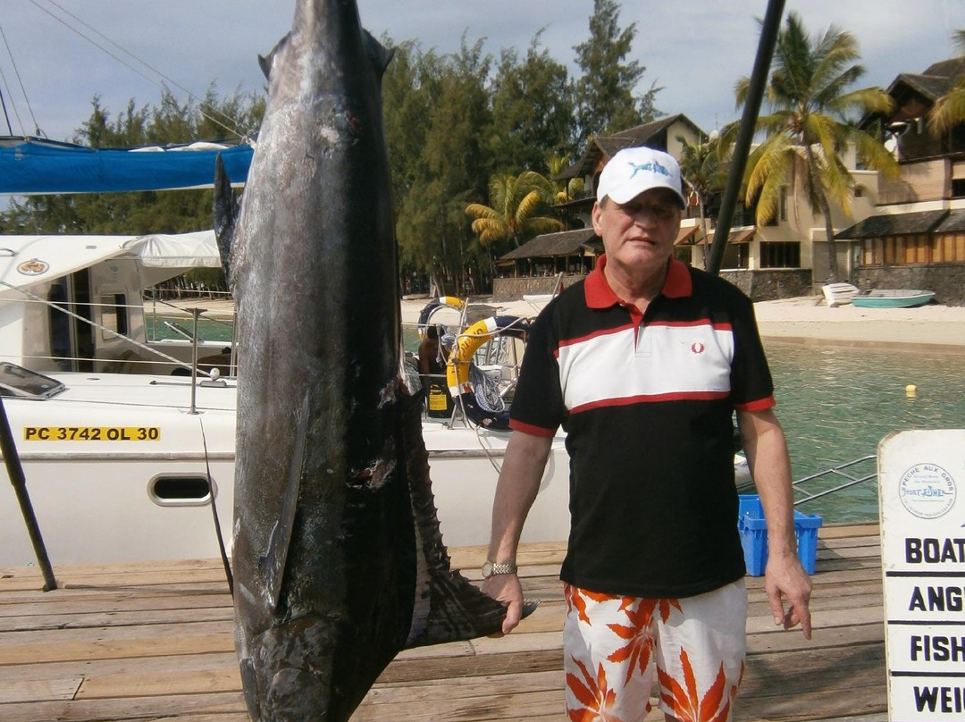 Big Game Fishing-庞波慕斯必去景点