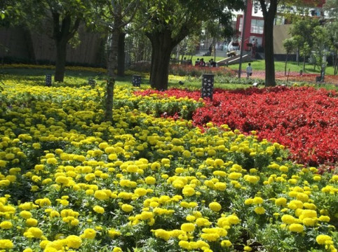 渭滨公园-咸阳市必去景点
