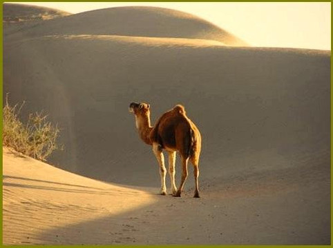 Destino Marruecos-丹吉尔必去景点