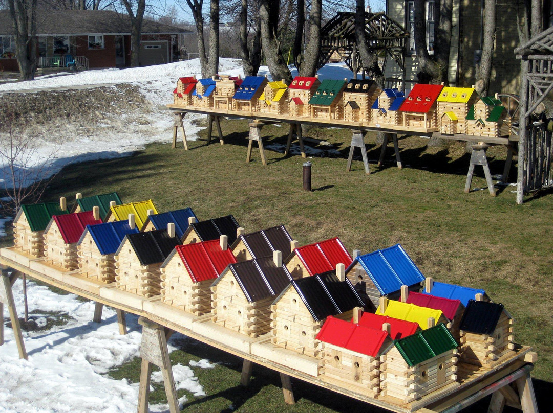 Extreme Birdhouses景点图片
