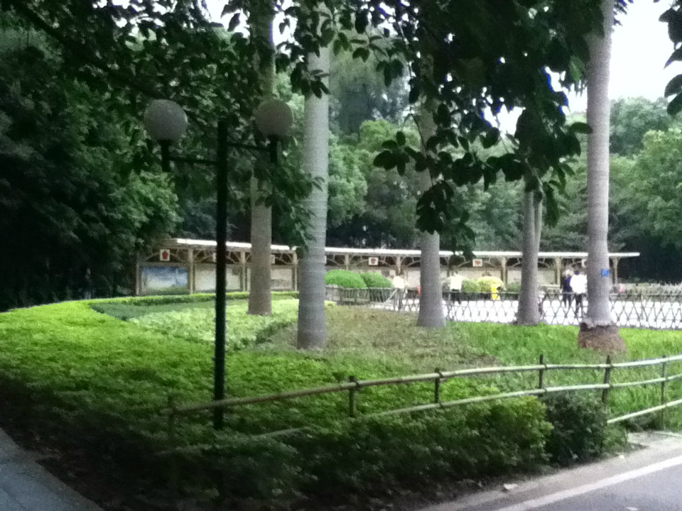 天河公园-广州市必去景点