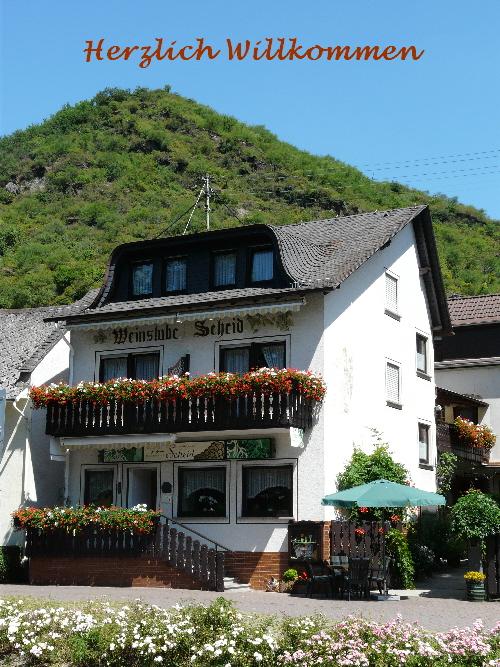 Pension Ferienwohnungen Scheid-官方