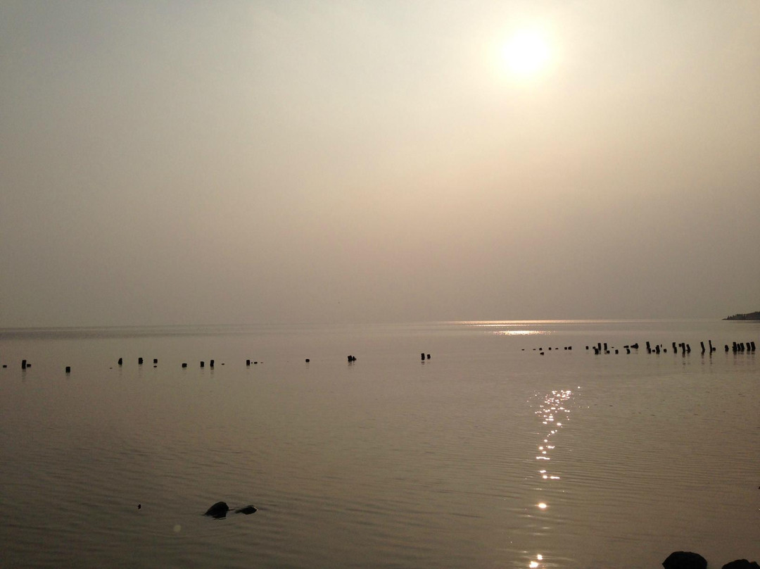 福田红树林自然保护区-深圳市必去景点