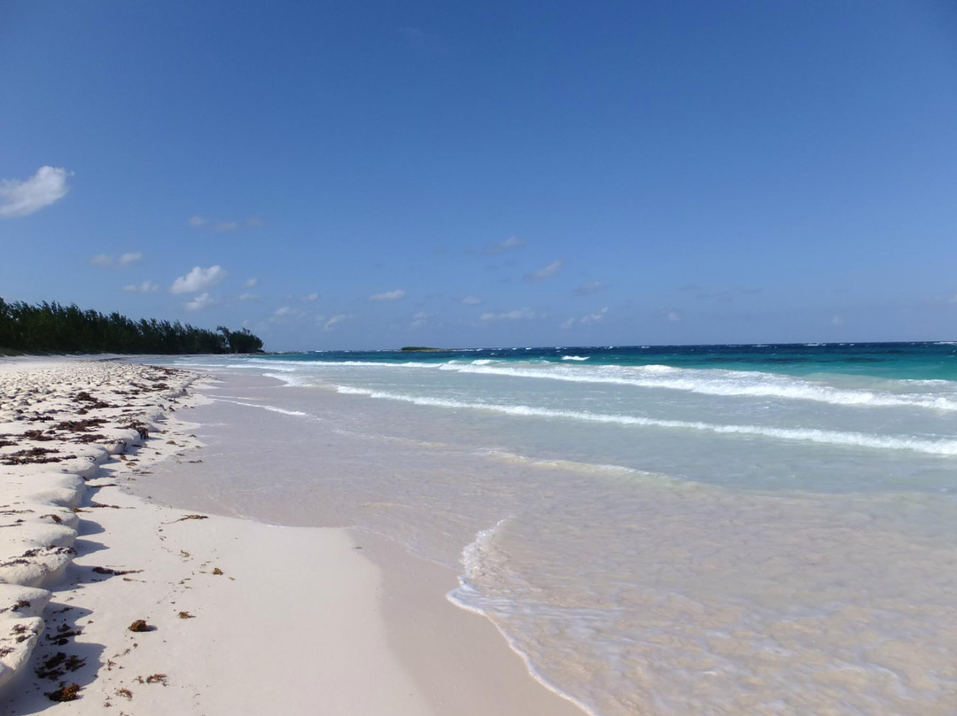 French Leave Beach-Governor's Harbour必去景点