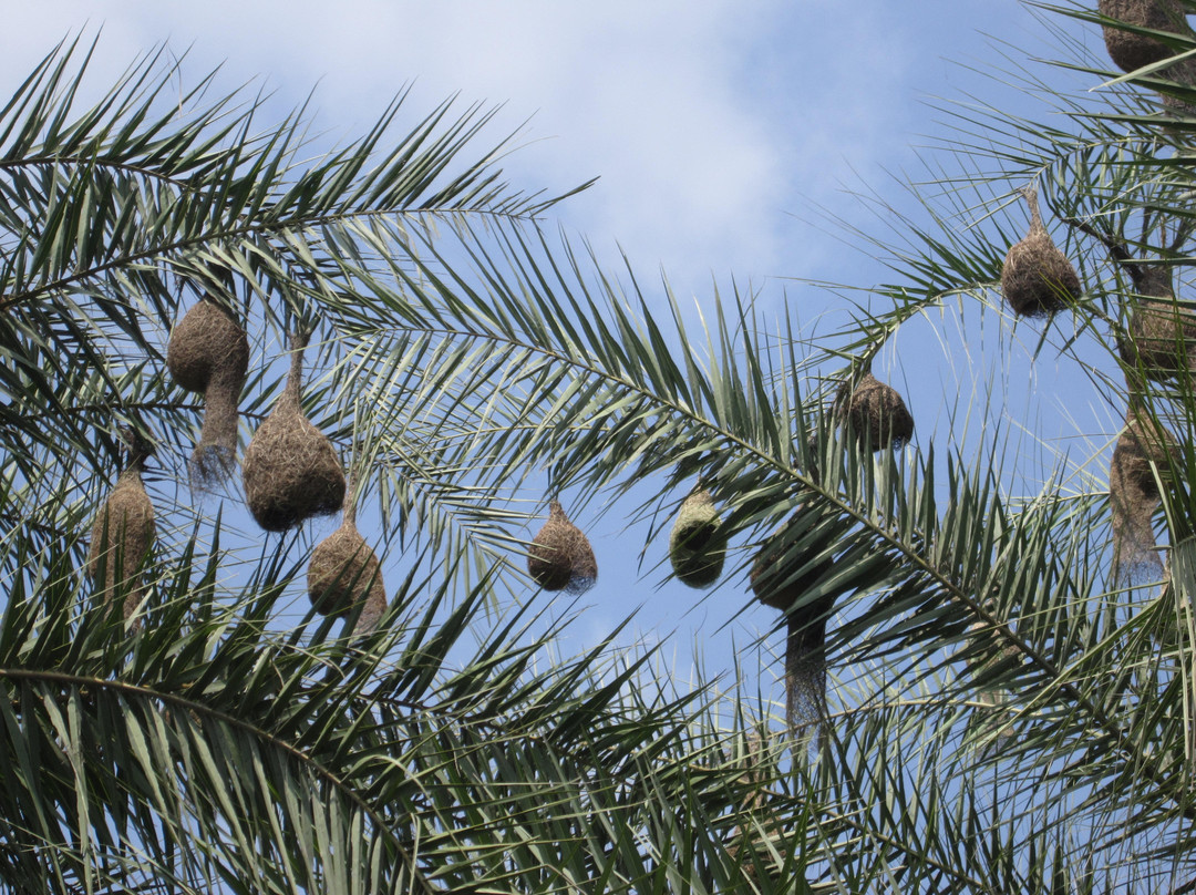Shiv Mandir-窦格必去景点