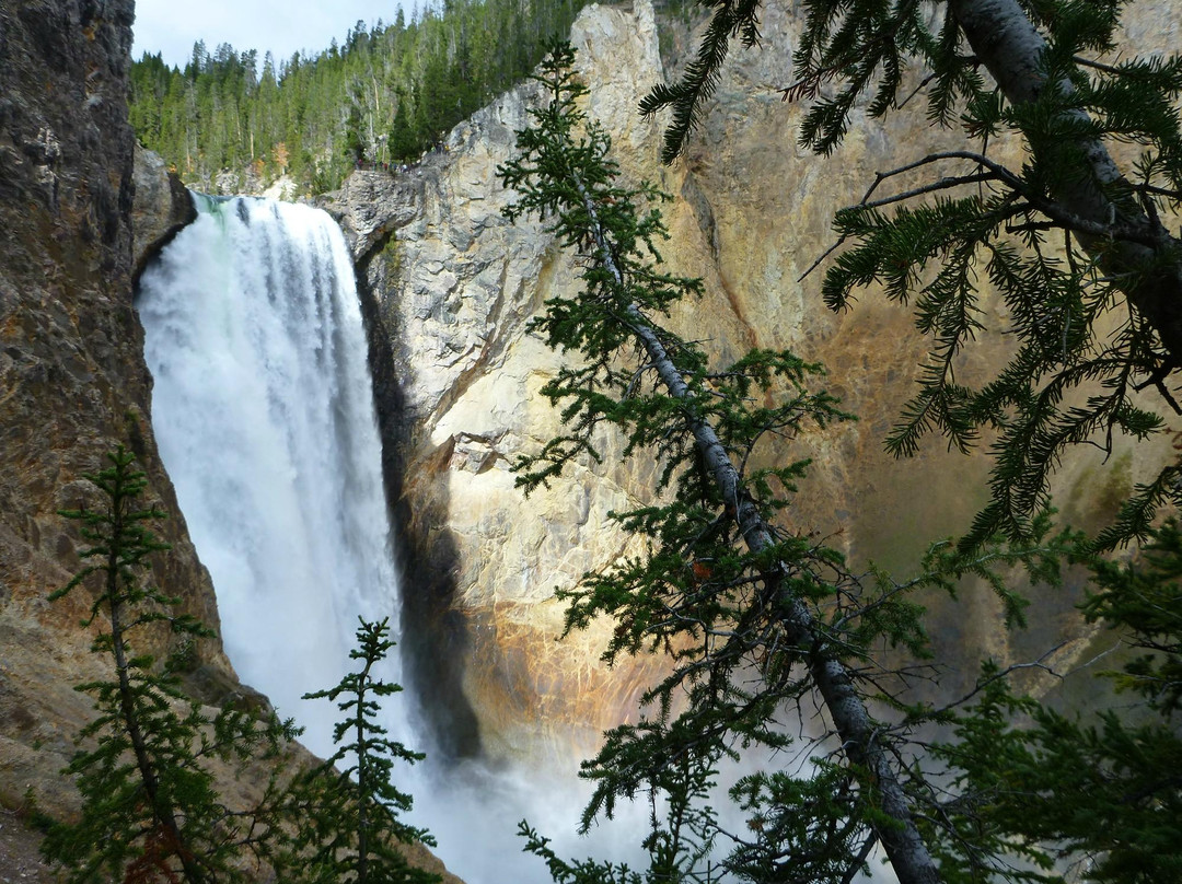 汤姆叔叔的徒步道-黄石国家公园必去景点