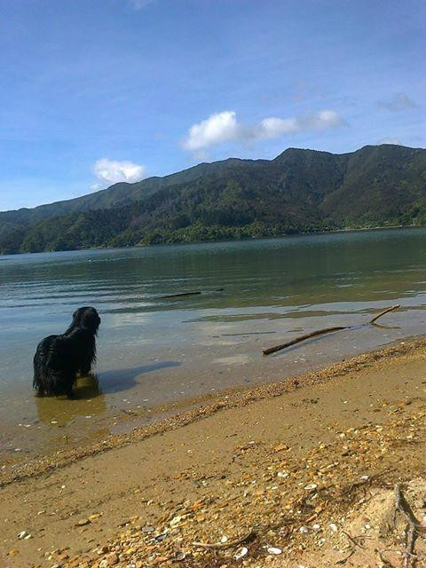 Davies Bay Campsite景点图片