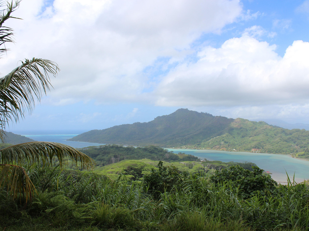 Poerani Tours-Haamene必去景点