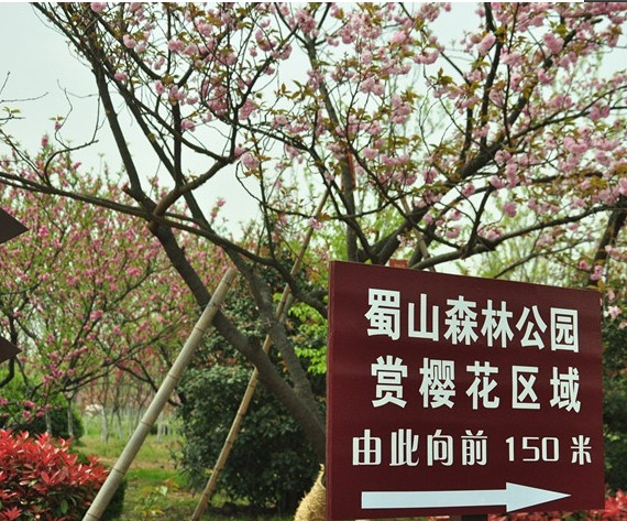 合肥大蜀山森林公园-合肥市必去景点