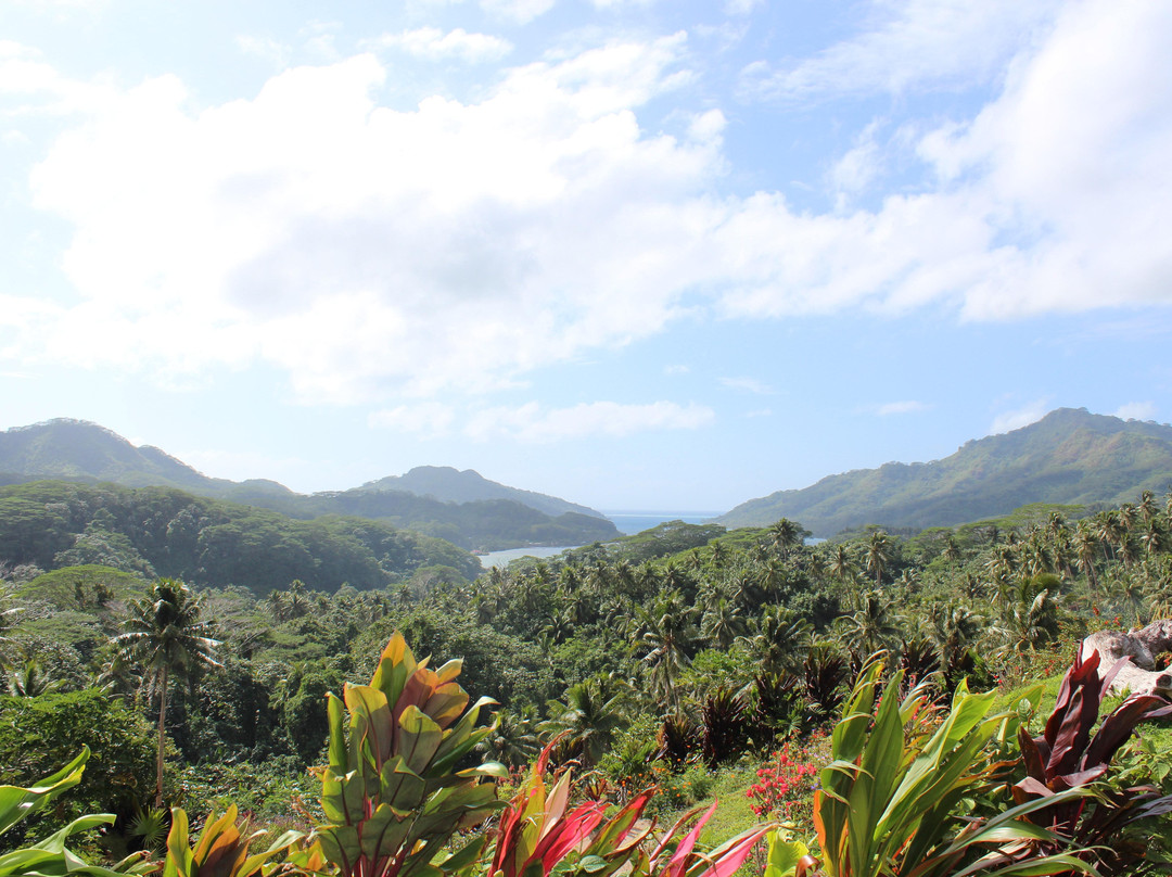 Poerani Tours-Haamene必去景点