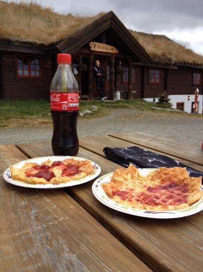 Hakkesetstolen Mountain Lodge and Cabins-客卧