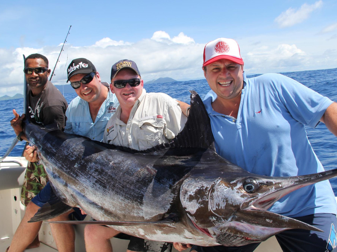 Freedive Fiji Charters - Day Trips景点图片