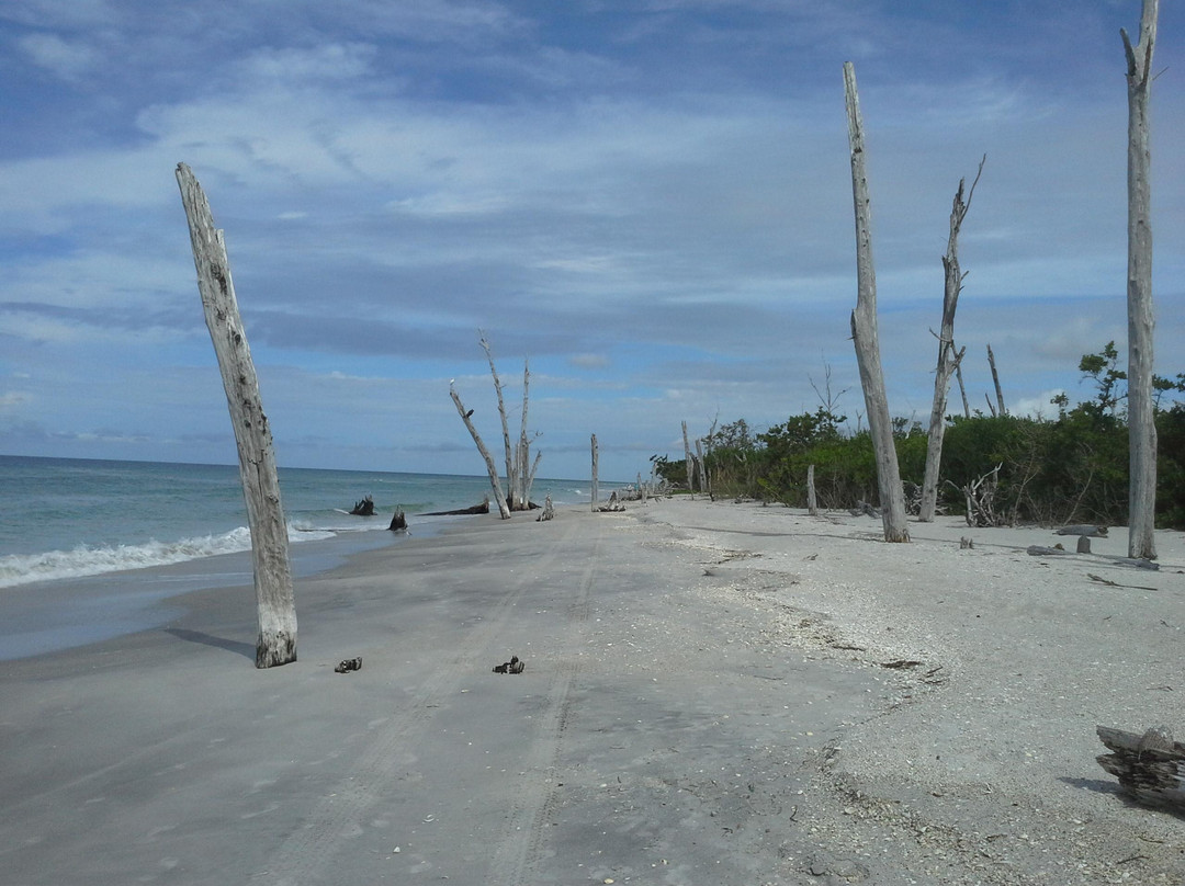 Stump Pass Beach State Park-恩格尔伍德必去景点