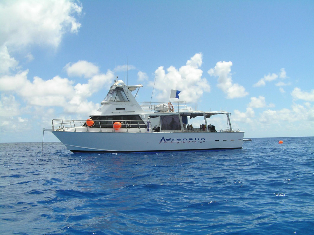 Adrenalin Snorkel and Dive-汤斯维尔必去景点