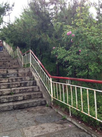 枇杷山公园-重庆市必去景点