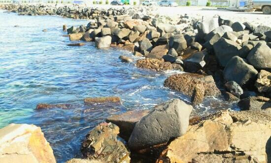 Jeddah City Tour By Local Guide.景点图片