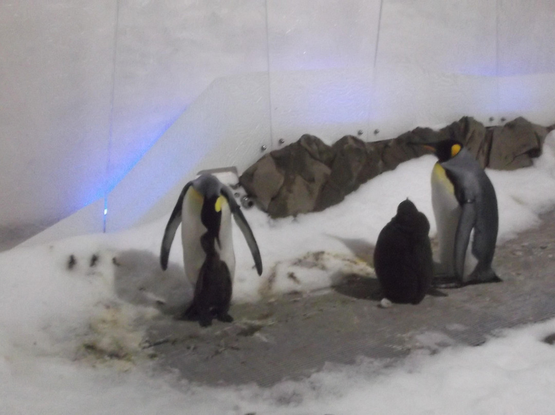 墨尔本水族馆-墨尔本必去景点
