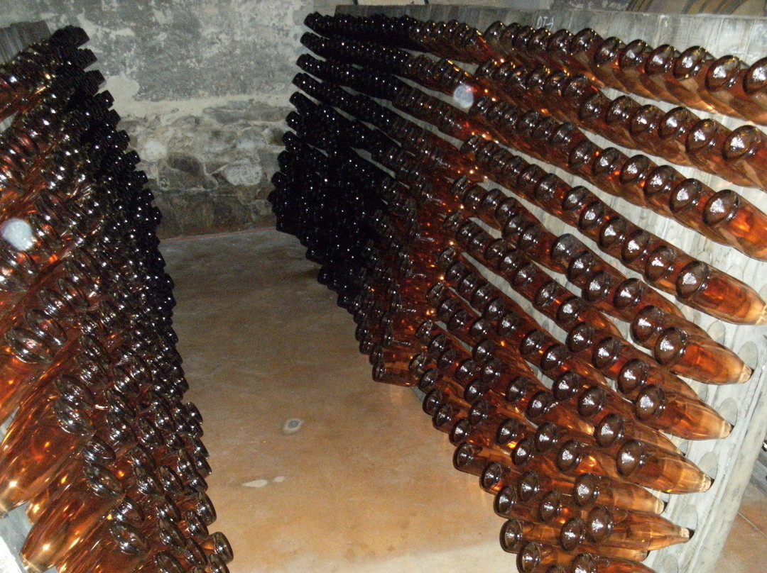 Domaine Franck Besson-Jullie必去景点