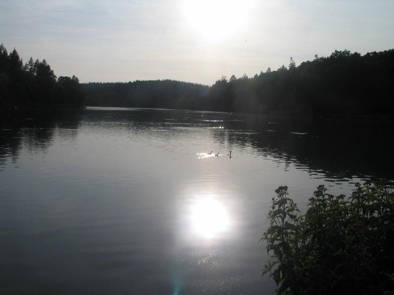 Shearwater Lake景点图片