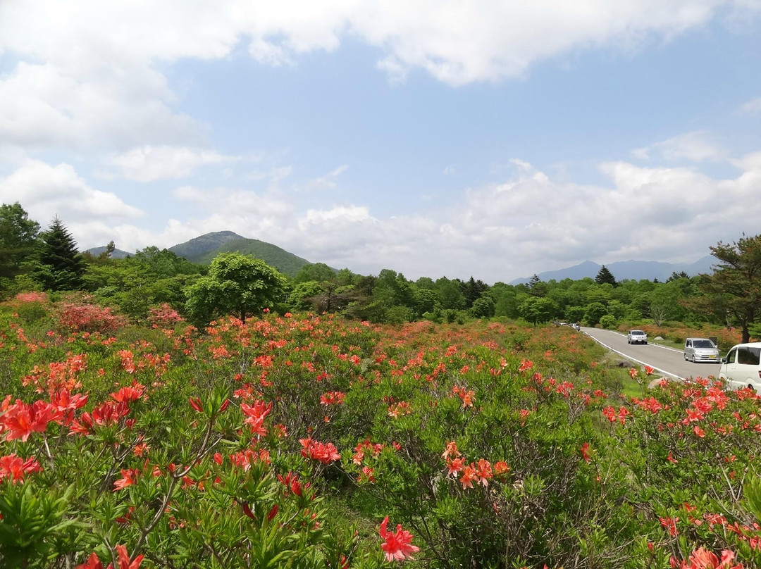 Happogahara-矢板市必去景点