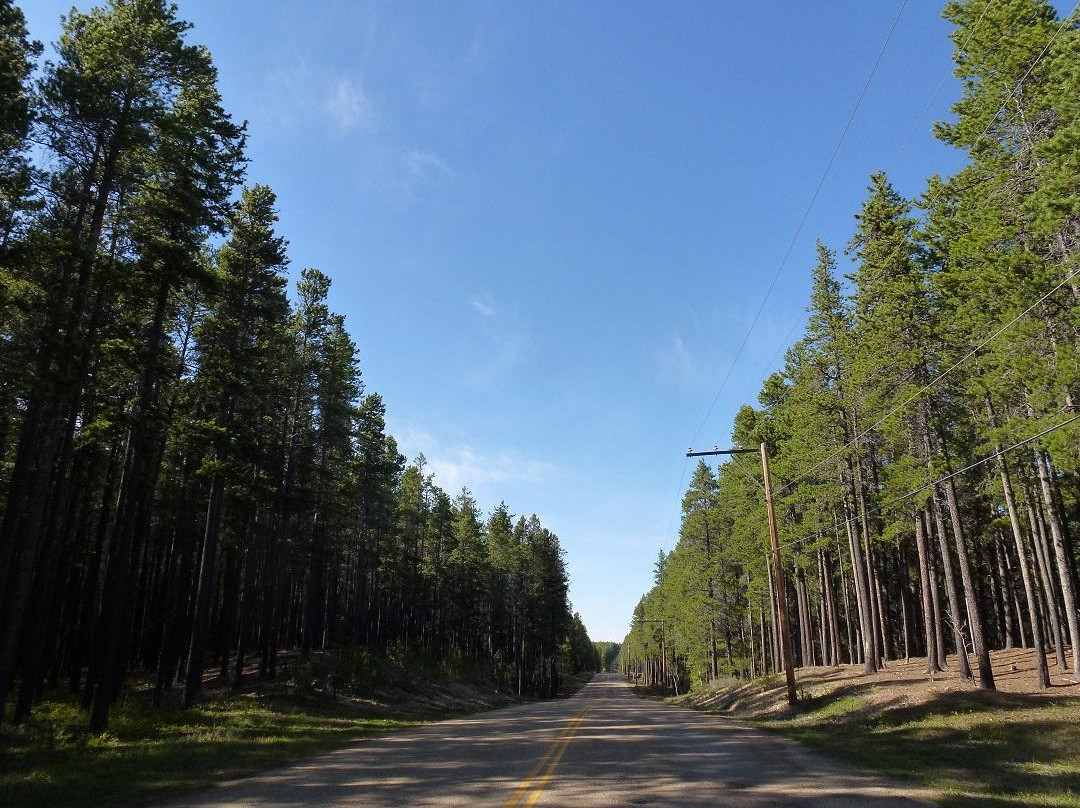 赛普拉斯山省际公园-Maple Creek必去景点