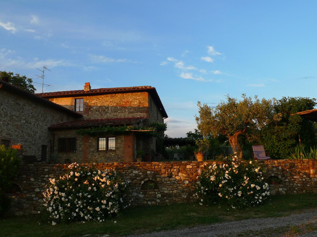 Podere Dell'Orto