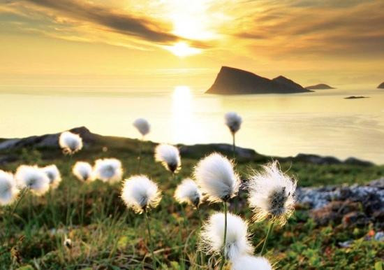 Sommarøy Cruise-Sommaroy必去景点