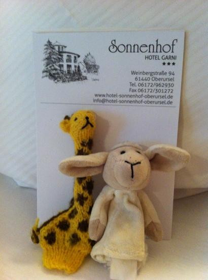 Sonnenhof Hotel Garni主图