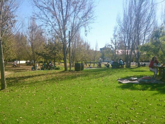 Spier Wine Farm-斯泰伦博斯必去景点