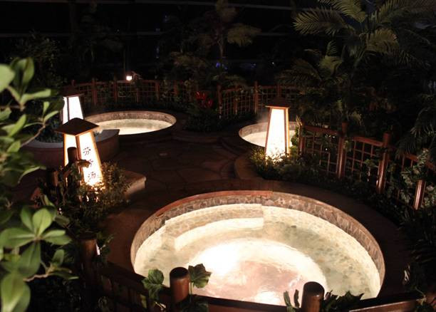 阿尔卡迪亚国际酒店主图